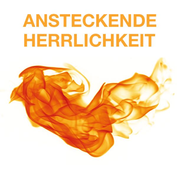 Ansteckende Herrlichkeit - Rückblick