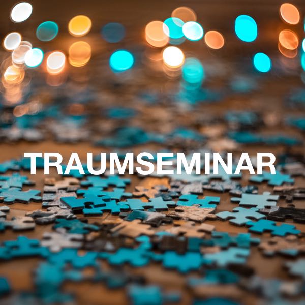 Traumseminar Rückblick